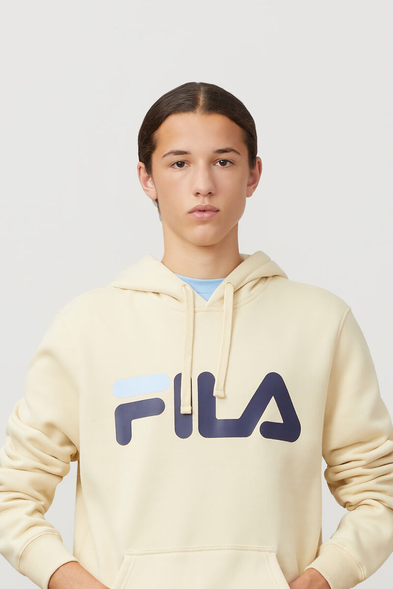 Brown / Navy / Blue Men's Fila Flori Hoodie Hoodies | y3s5ibr6SnP